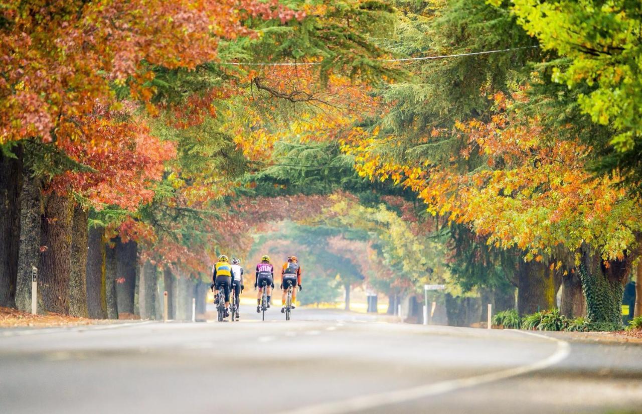 Big4 Porepunkah Holiday Park Bright Luaran gambar